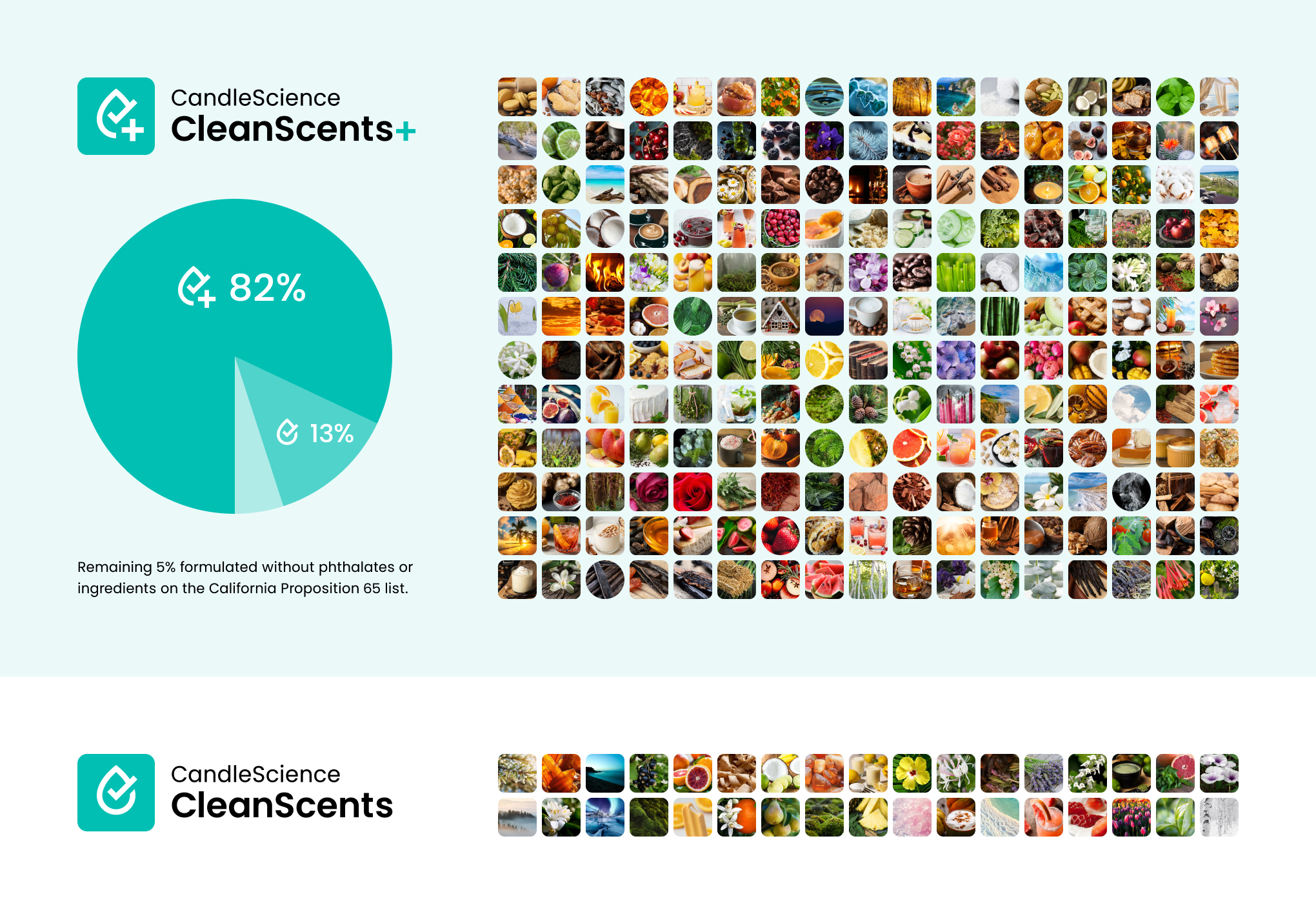 CandleScience CleanScents Fragrance Overview image showing 82% of all CandleScience fragrances as CleanScents+, 13% of fragrances as CleanScents, and 5% as neither CleanScents+ or CleanScents.